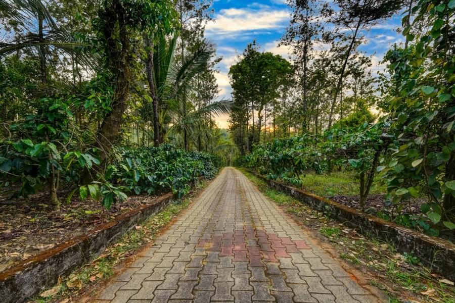 Coorg Bliss Estate Stay Madikeri Ngoại thất bức ảnh