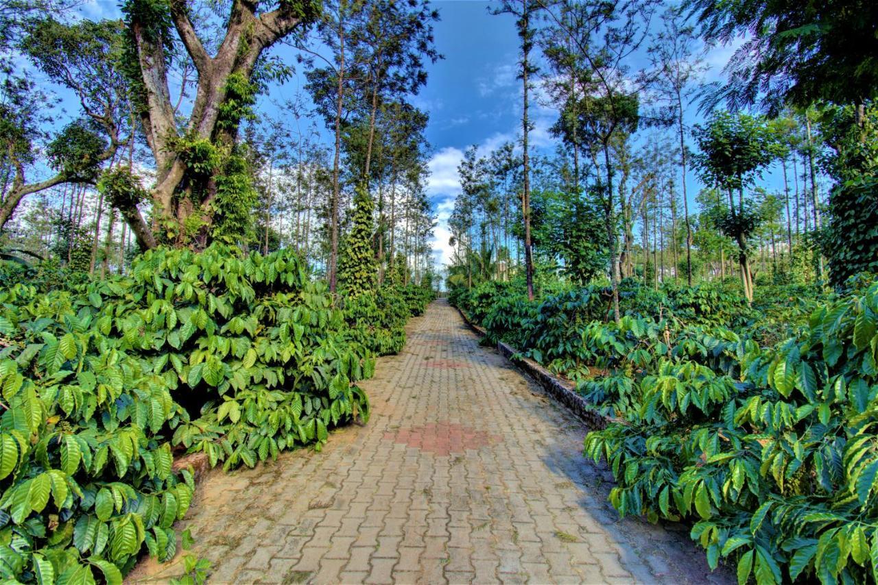 Coorg Bliss Estate Stay Madikeri Ngoại thất bức ảnh